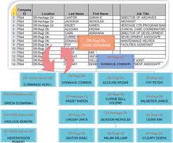 create org chart from data