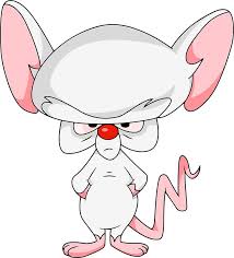 Pinky And The Brain Brain Favorite Cartoon Character Classic Cartoon Characters Old Cartoons