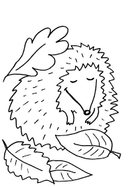 Malvorlagen fur kinder ausmalbilder igel kostenlos konabeun. Kostenlose Malvorlage Igel Schlafender Igel Zum Ausmalen