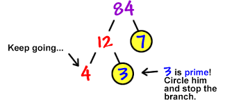 Which is the same as = 2 2 x 3 x 7. Prime Factorizations 3