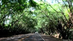 Unsourced material may be challenged and removed.find sources: Tunel Natural De Santa Rita Paraguay Youtube