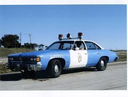 Image result for Spinnaker White 1973 Fury