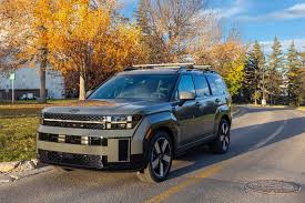 Image result for Hampton Gray 2025 Santa Cruz