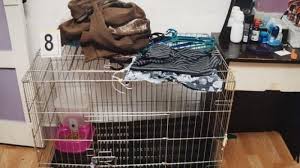 Temukan resep, ide rumah, inspirasi gaya, dan ide lain untuk dicoba. Ngerinya Pembunuhan Bocah 5 Tahun Oleh Orangtuanya Dimasukkan Kandang Kucing Disiram Air Panas Tribun Jabar