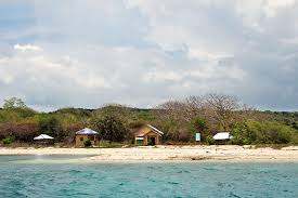 Click to see the winners for best zoo , chosen by the readers of 10best and usa today. Moyo Island Lesser Sunda Islands Roamindonesia Com