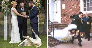 When you double book your wedding day and halloween party… 42. 50 Hilarious Wedding Fails That The Bride And Groom Just Had To Share