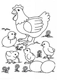 10 Cute Chicks Coloring Pages For Your Toddlers In 2020 Farm Animal Coloring Pages Bird Coloring Pages Farm Coloring Pages
