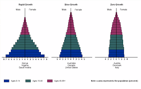 Age Structure Diagram Catalogue Of Schemas