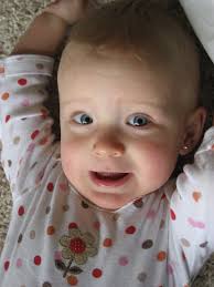 The Wee Rudes: A Cardboard Box!