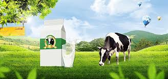 Original Ecological Nature Blue Sky Green Meadow Cows Milk Mountains Poster Banner Free Background Photos Cow Psd Background
