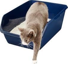 Frisco High Sided Cat Litter Box Gray Extra Large 24 In Chewy Com Cat Litter Box Cat Litter Litter Box