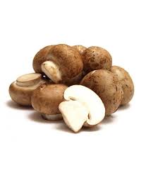 Champignons Fur Ihr Haus 12 90 Champignons Pilze Pflanzen