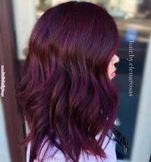Pin By Alexa Ech On Volosy Merlot Hair Color Hair Color Burgundy Red Violet Hair