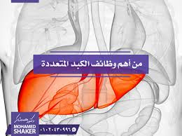 أورام الكبد