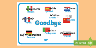 Mixed Language Goodbye Display Signs Goodbye Sign Adios Adeus Auf Language French Goodbye Childrens Learning