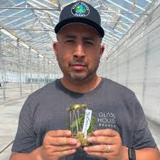 Setting up the new Camarillo showroom!