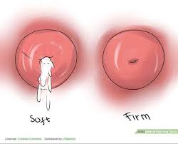 We did not find results for: How To Locate Your Cervix Easy Step By Step Guide