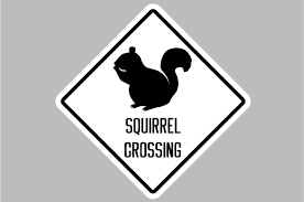 Download Squirrel Crossing Sign Svg Cut Files Download Free Svg Files Jeep PSD Mockup Templates