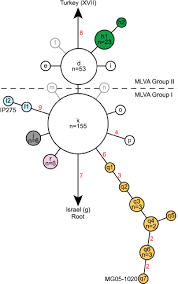 In snp annotation the biological information is extracted, collected and displayed in a clear form amenable to query. Appendix A The Science And Applications Of Microbial Genomics Workshop Summary The National Academies Press
