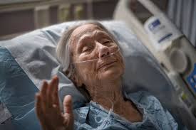 A Photographer's Frank, Tender Portrait of Her Parents' Final Year