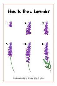 The Illustrai How To Draw Lavender In 6 Easy Steps Watercolor Paintings Easy Lavender Paint Flower Drawing