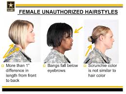 Jasmine jacobs to allow professional natural hairstyles. Women With Natural Hair Petition Army Regulation 670 1 Popsugar Beauty