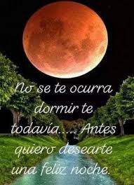 Feliz Noche Buenas Noches Frases Frases Lindas De Buenas Noches Pensamientos De Buenas Noches