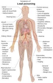 Image result for Lead Poisoning