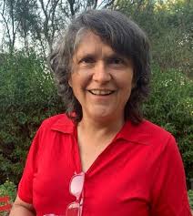 Bárbara Saavedra, sobre incendio en Timaukel: “Falta conocimiento para  saber cómo restaurar turberas amenazadas por el fuego”