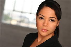 ABC/TTV Micro-Mini Series (TV Mini Series 2004)