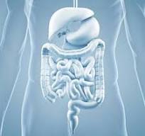 Tratamiento del Colon Irritable. Programa científico | Área ...