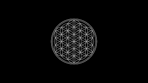 Black And White Geometric Wallpaper 1920x1080 Black Background Minimalism Circle Symbols Sacred Geometry Flower Of Life Wall Geometric Wallpaper Iphone Flower Of Life Sacred Geometry Wallpaper