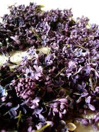 17 99 Sale Price These Vibrant Freeze Dried Lilac Flowers Exude Sophistication And Elegance Use The Lilac Flowers Lilac Blossom Edible Flowers Lilac Flowers