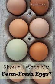 Eggs To Wash Or Not To Wash The Prairie Homestead
