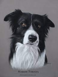 img 1221 copie 001 peintures de chien dessin art a theme coloriage batman mignon
