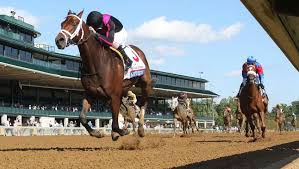 This informs you of the return. Statement Victory For Art Collector In Blue Grass Stakes America S Best Racing