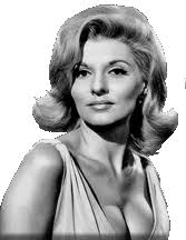 Nancy Kovacs's Instagram, Twitter & Facebook