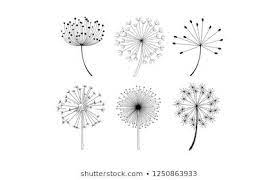 Similar Images Stock Photos Vectors Of Abstract Flower Vector Dandelion 127134734 Shutterstock Dandelion Flower Abstract Flowers Dandelion