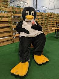 Image result for linux penguin