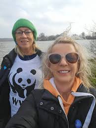 Yellow Rose Hypnotherapy