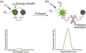 Image result for Porfimer