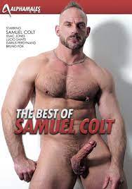 Samuel colt gay