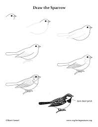 Learn To Draw Animals On Exploringnature Org Bird Drawings Animal Drawings Drawings