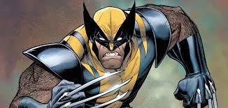 Image result for wolverine