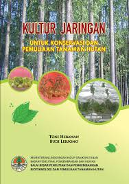 Kesimpulan dari penelitian ini adalah pertumbuhan biji kacang hijau yang terkena sinar matahari pertumbuhanya normal karena mendapat asupan sinar matahari yang cukup untuk berfotosintesis.sedangkan, pertumbuhan biji kacang yang tidak terkena sinar matahari pertumbuhanya tidak normal karena tidak ada yang menghambat hormon auksin dan tumbuhan tersebut tidak dapat berfotosintesis.selain itu. Download Balai Besar Penelitian Bioteknologi Dan Pemuliaan Tanaman Gratis