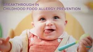 Ready Set Food Shark Tank Update