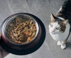 Sono contenenti di varie vitamine e integratori minerali, agenti. Snack Per Gatti Fatti In Casa Tre Idee La Cucina Italiana
