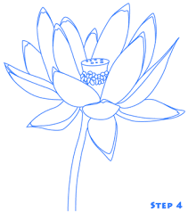 Pin On Drawing