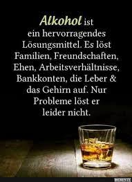 Alkohol ist ein hervorragendes Lösungsmittel.. | Lustige Bilder, Sprüche,  Witze, echt lustig | True words, German quotes, Words