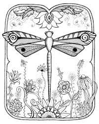 Libelula Libro De Colores Dibujos Libros Para Colorear